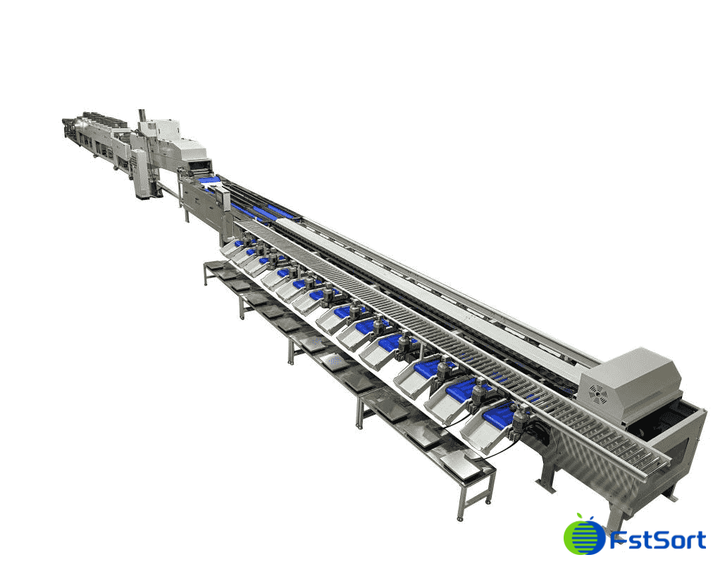 images/1700119993693avocado sorting machine.png